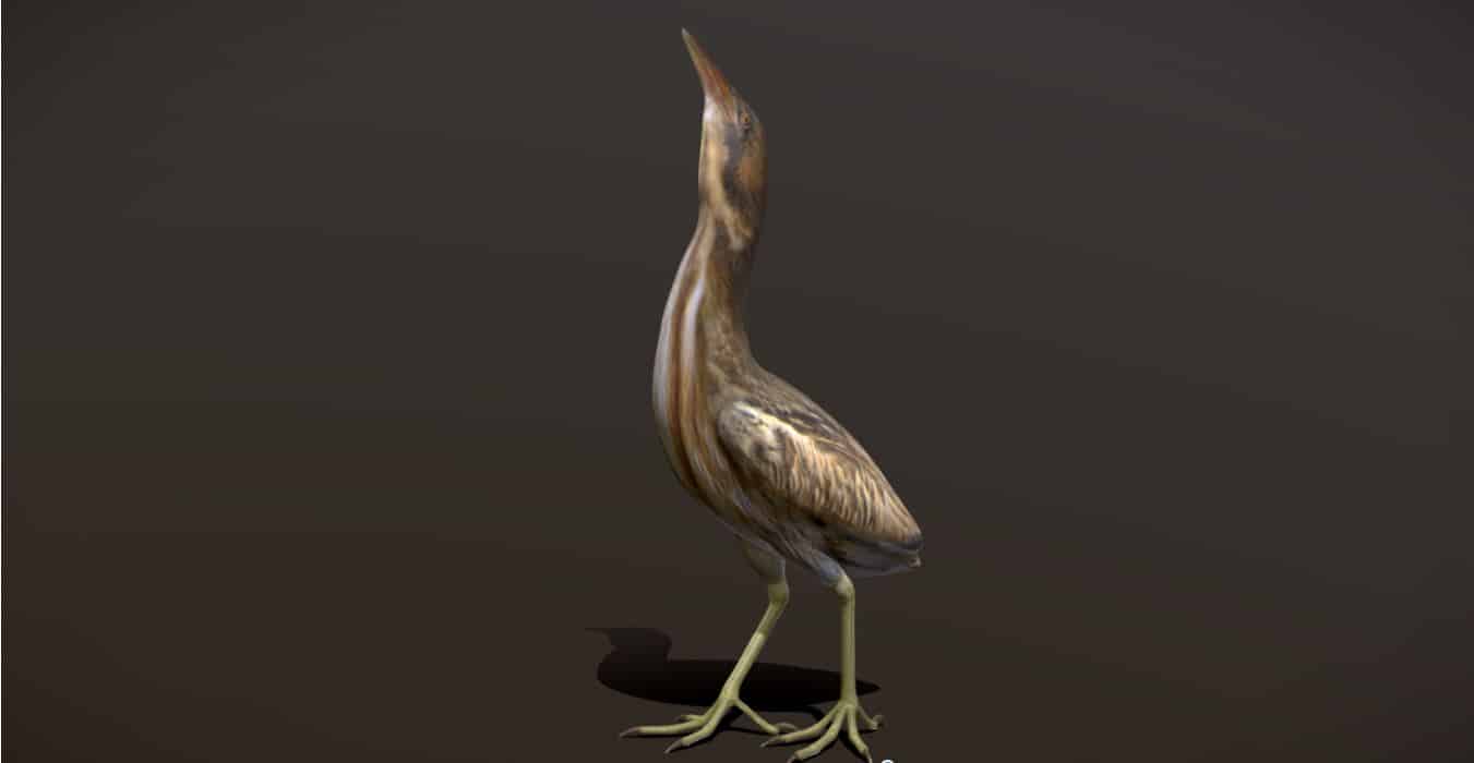 Botarus Stellaris